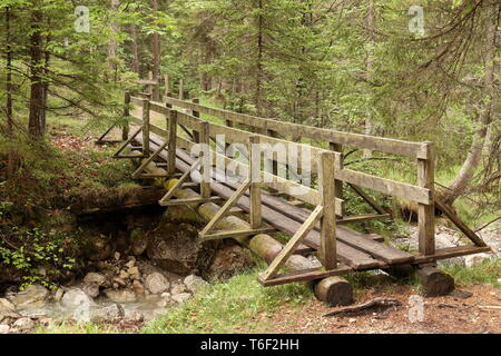 Eine alte Holzbrücke im Wald Stockfoto