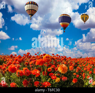 Zwei mehrfarbige Ballone Stockfoto