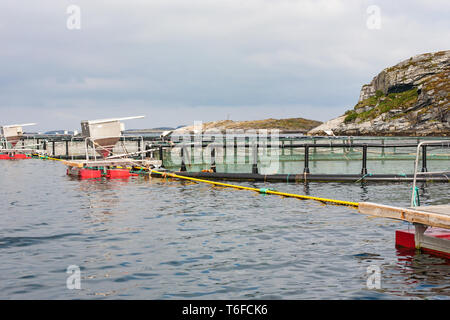 Die Fischzucht in Käfigen in das Meer an der Küste Stockfoto