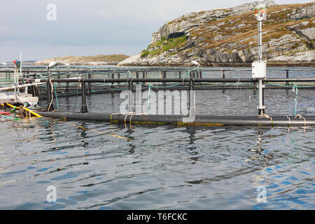 Fischkäfige für die Fischzucht auf See Stockfoto