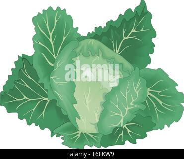 Kohl Vector Illustration Stock Vektor