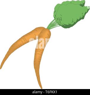 Karotten Vector Illustration Stock Vektor