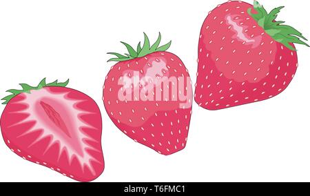 Erdbeeren Vector Illustration Stock Vektor