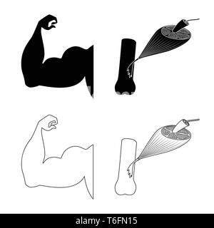 Isoliertes Objekt der Faser und muskulös Logo. Satz von Faser- und Körper Symbol für das Web. Stock Vektor