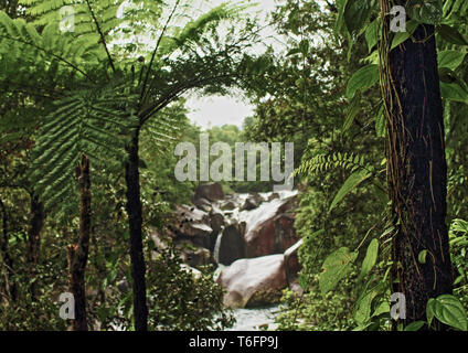 Natürlich eingerahmt Regenwald Fenster auf babinda Creek von Devil's Pool Walking Track in Babinda Boulders in der Nähe von Cairns in Far North Queensland, Australien Stockfoto