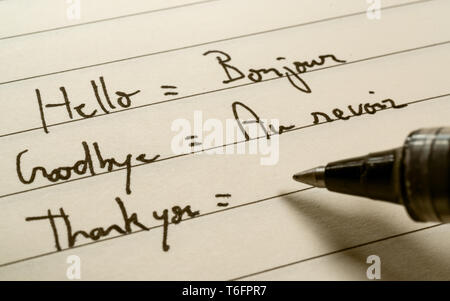 Anfänger Französisch Lernenden schreiben Worte in Französisch für Hausaufgaben auf einem Notebook Nahaufnahme Stockfoto