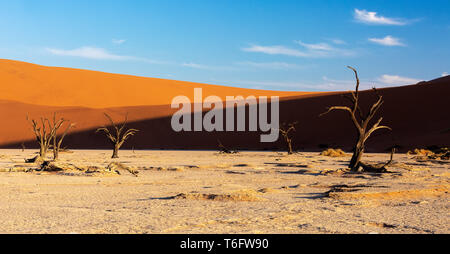 Dead Vlei Landschaft in Sossusvlei, Namibia Stockfoto