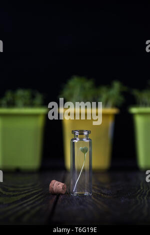 Gentechnisch veränderte Pflanzen Konzept geändert Stockfoto