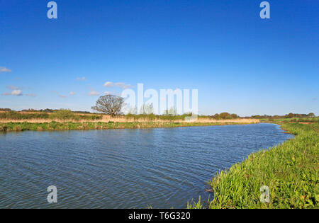 Ein Blick auf die alte North Walsham und Dilham Canal vor Ebridge Mühle, in der Nähe von North Walsham, Norfolk, England, Vereinigtes Königreich, Europa. Stockfoto