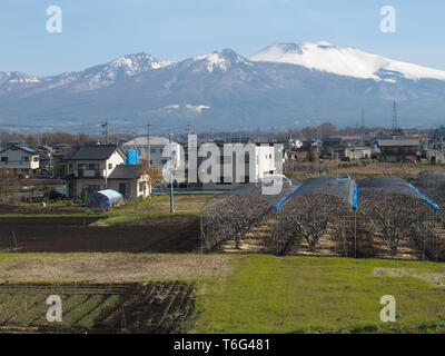 Landschaft der Stadt Saku, Japan - Prunus serrulata Stockfoto