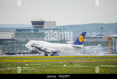 30 April 2019, Hessen, Frankfurt/Main: Ein Lufthansa Flugzeug landet am Flughafen Frankfurt Foto: Andreas Arnold/dpa Stockfoto