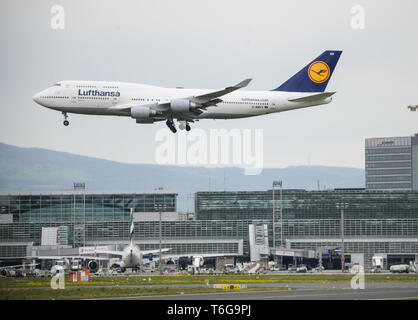 30 April 2019, Hessen, Frankfurt/Main: Ein Lufthansa Flugzeug landet am Flughafen Frankfurt Foto: Andreas Arnold/dpa Stockfoto