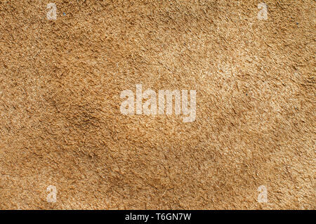 Rückseite der natürlichen braun Leder Oberflächenstruktur closeup als Hintergrund Stockfoto