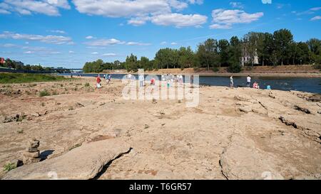 Leute auf dem Dom - Rock auf der Elbe in Magdeburg. Stockfoto