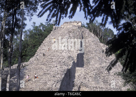 Mexiko Yucatan COBA Maya Ruinen Stockfoto