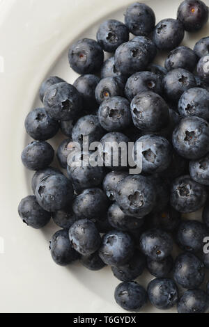 Frische Heidelbeeren mit Wassertropfen auf einem weißen Teller. Die gesündesten Lebensmittel der Welt. Stockfoto