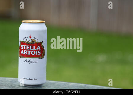 Dose von Stella Artois Lager, draußen auf Tisch im englischen Garten während des Frühlings mit Kopierraum Stockfoto