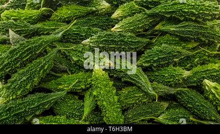 Green Organic Bitter Melone, Momordica Charantiar Geeignet für Hintergrundbilder. Stockfoto