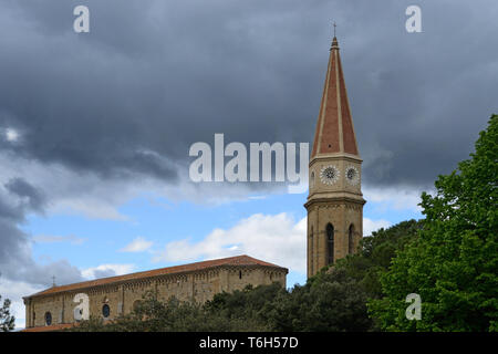 Portrait der mittelalterlichen Arezzo Dom mit seinen neo-gotischen Stil, an einem bewölkten Tag Stockfoto