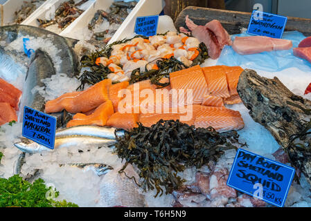 Lachsfilet und andere Fische und Meeresfrüchte zum Verkauf auf einem Markt in London Stockfoto