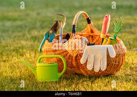 Gartengeräte im Korb und Gießkanne auf Gras Stockfoto