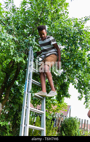Jungen über die Leiter in der Nähe des Baums Stockfoto