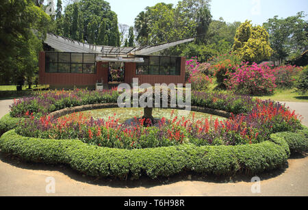 Die Royal Botanic Gardens in Kandy Sri Lanka Stockfoto