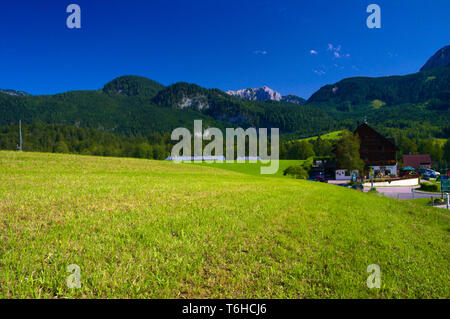 Alpen Bauernhof. Grüne Felder Stockfoto