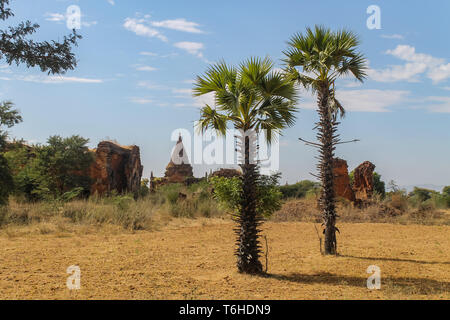 Blick auf den Tempeln, Stupas und Payas von Bagan, Myanmar Stockfoto