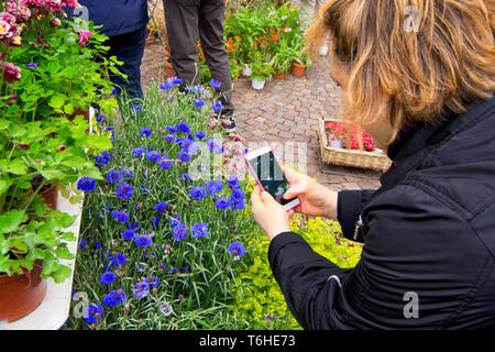 Frau mit einem Smartphon in ihre Hände nehmen ein Foto von Blumen während einer Blumen Markt des Messegeländes Stockfoto
