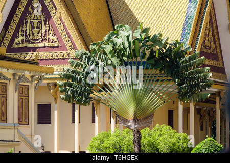 Reisende Palm Tree (Ravenala madagascariensis) und Gebäude inmitten einer Gartenanlage im Königlichen Palast Komplex. Phnom Penh, Kambodscha, Südostasien Stockfoto