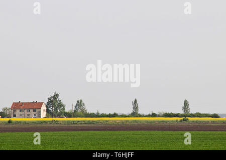 Bienenfarm auf dem Land bei Belgrad. Serbien Stockfoto