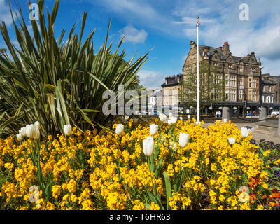 Bettys vom War Memorial Gardens im Frühjahr Harrogate, North Yorkshire England Stockfoto