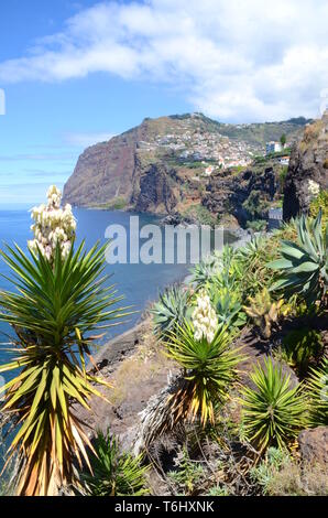 Kap Cabo Girao an der Westküste von Madeira. Cabo Girao hat den höchsten Klippen, die in Europa gefunden werden kann. Stockfoto