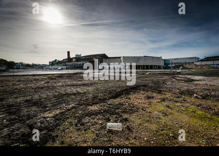 Wimbledon Greyhound Stadium, die letzte Chance zu sehen, bevor es abgerissen wurde, Stockfoto