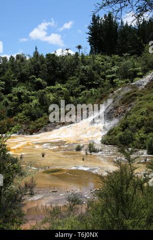 Orakei Korako versteckte geothermalen Tal - Smaragd Terrasse, Neuseeland: Blick auf bunten Regenbogen Sinter überdachte Terrasse mit gelben und weißen Mikrobielle Stockfoto