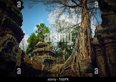 Blick von Angkor Wat in Kambodscha Stockfoto