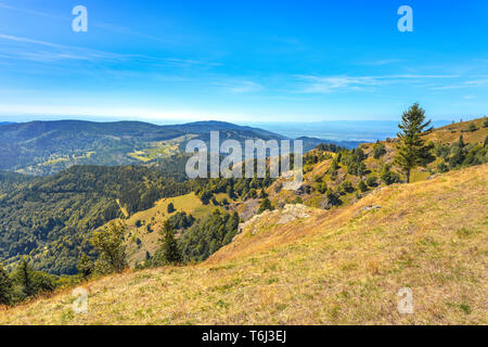 Die bergkämme von den Bergen Belchen, Schwarzwald, Deutschland gesehen, einem der höchsten Punkte im südlichen Schwarzwald und das Naturschutzgebiet Stockfoto