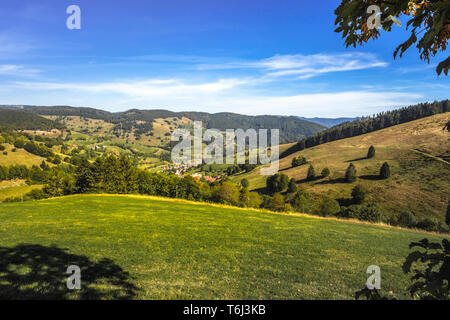 Hochtal von Wieden, panorama Blick von der Wiedener Eck, Naturpark Südschwarzwald, Deutschland, Gemeinde Schönau im Schwarzwald Stockfoto