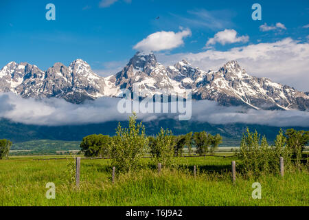 Grand Teton Berge mit tiefen Wolken Stockfoto