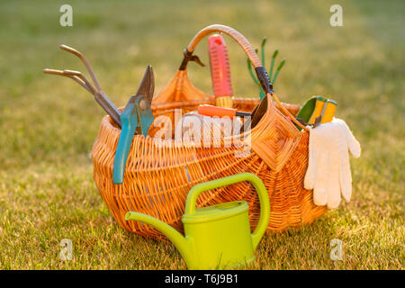 Gartengeräte im Korb und Gießkanne auf Gras Stockfoto