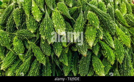 Green Organic Bitter Melone, Momordica Charantiar Geeignet für Hintergrundbilder. Stockfoto