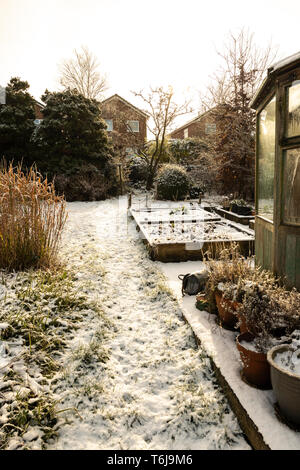 UK, Garten im Winter im Schnee mit Milchglas, Gewächshaus Stockfoto