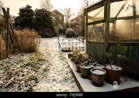 UK, Garten im Winter im Schnee mit Milchglas, Gewächshaus Stockfoto
