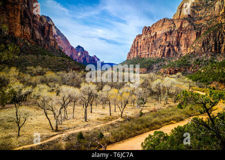 Bergrücken im Zion National Park, Utah Stockfoto