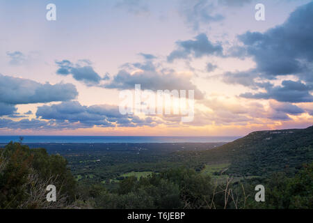 Sonnenuntergang auf den Plantagen von Jahrhunderte alten Olivenbäumen in Apulien Stockfoto