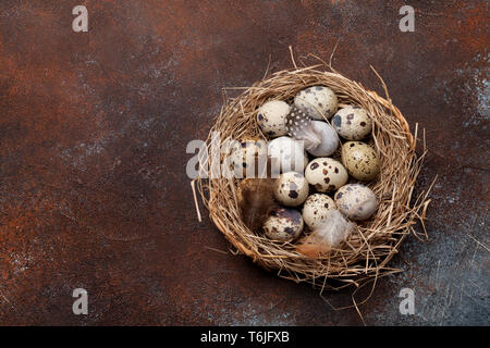 Wachteln Eier im Nest auf rustikalem Stein Hintergrund mit Kopie Raum Stockfoto