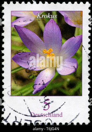 Briefmarke aus der Bundesrepublik Deutschland in den Blumen Serie in 2005. Stockfoto
