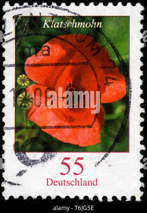 Briefmarke aus der Bundesrepublik Deutschland in den Blumen Serie in 2005. Stockfoto