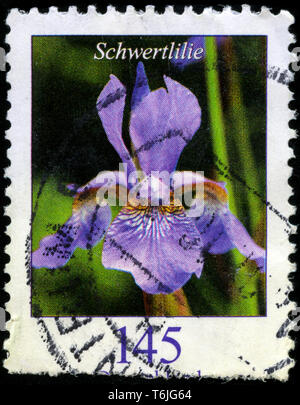 Briefmarke aus der Bundesrepublik Deutschland in den Blumen Serie in 2005. Stockfoto